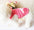 Pet clothes clothing